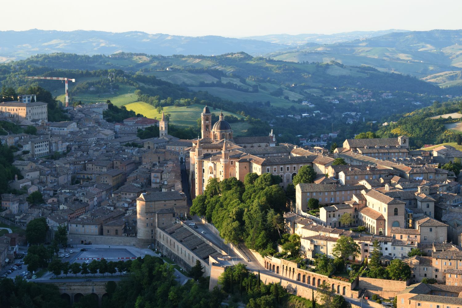 Urbino