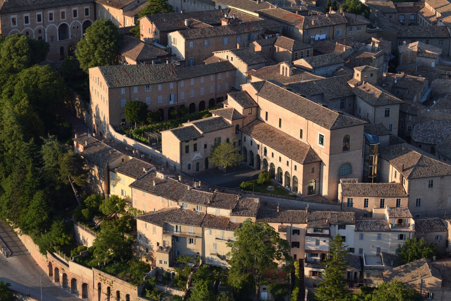 Urbino2